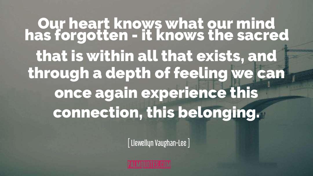 Heart Feelings quotes by Llewellyn Vaughan-Lee