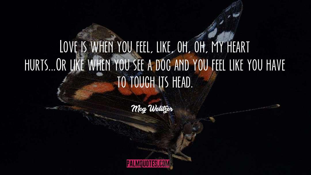 Heart Hurts quotes by Meg Wolitzer