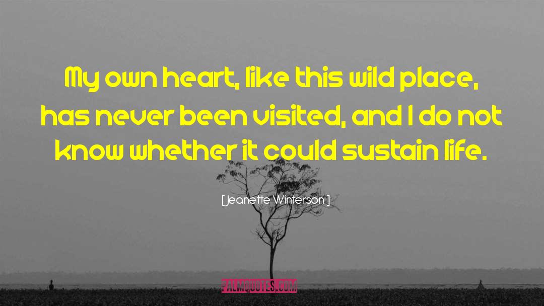 Heart Love quotes by Jeanette Winterson