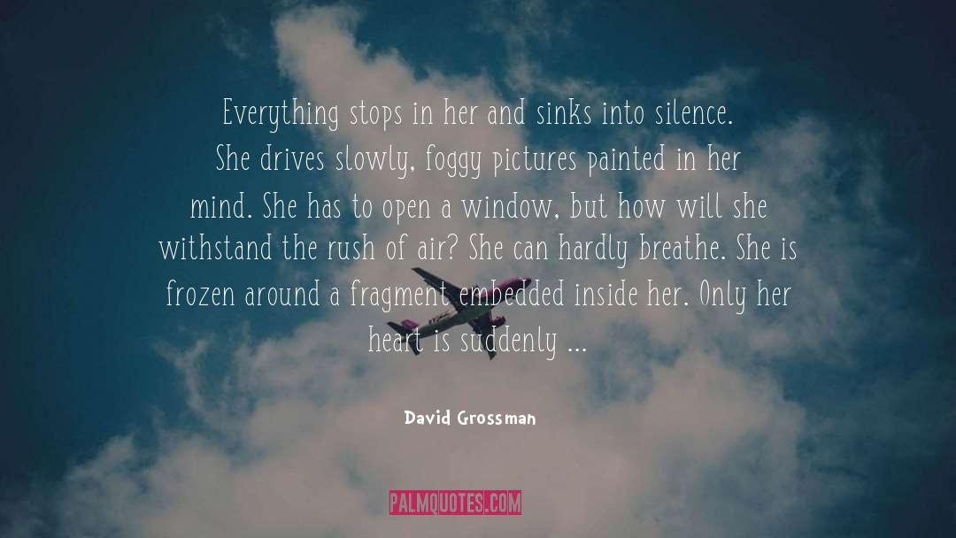 Heart Melting quotes by David Grossman