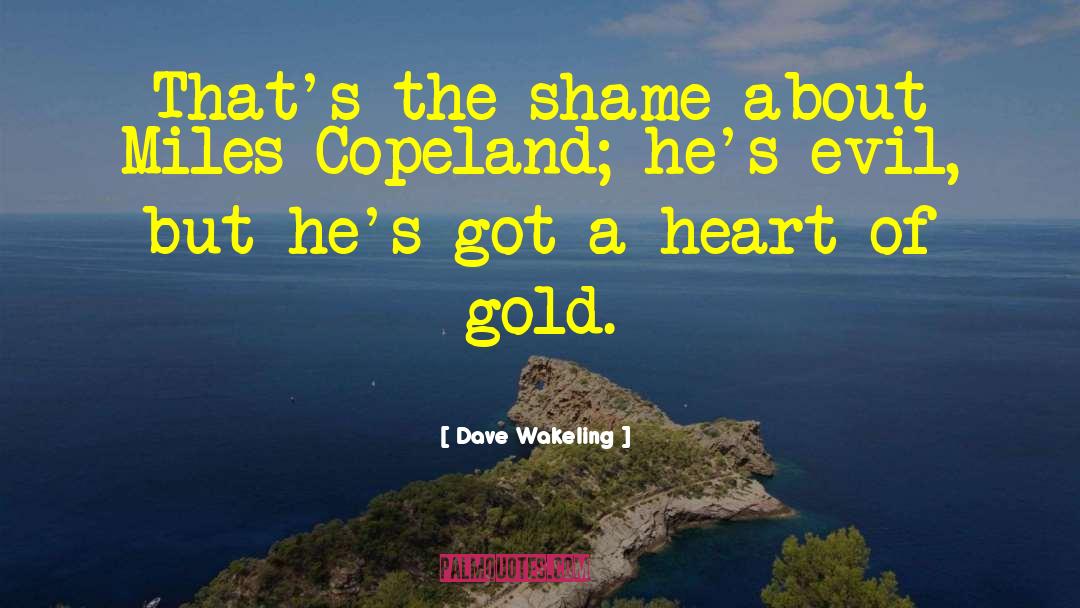 Heart Of Gold quotes by Dave Wakeling