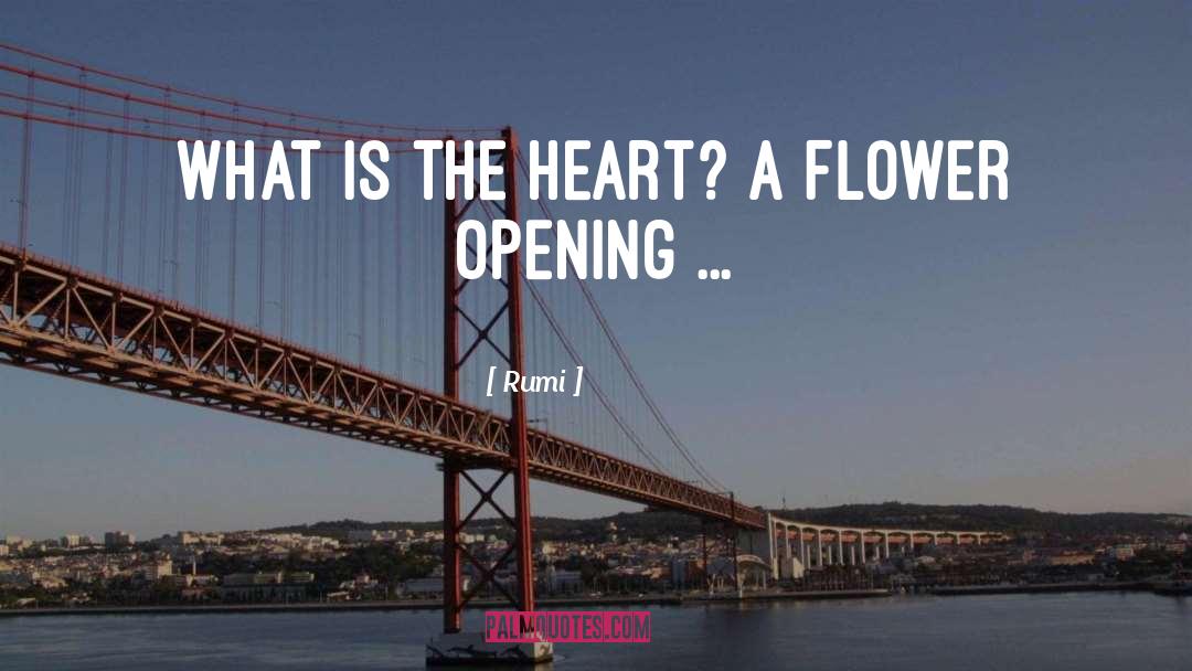 Heart Opening quotes by Rumi