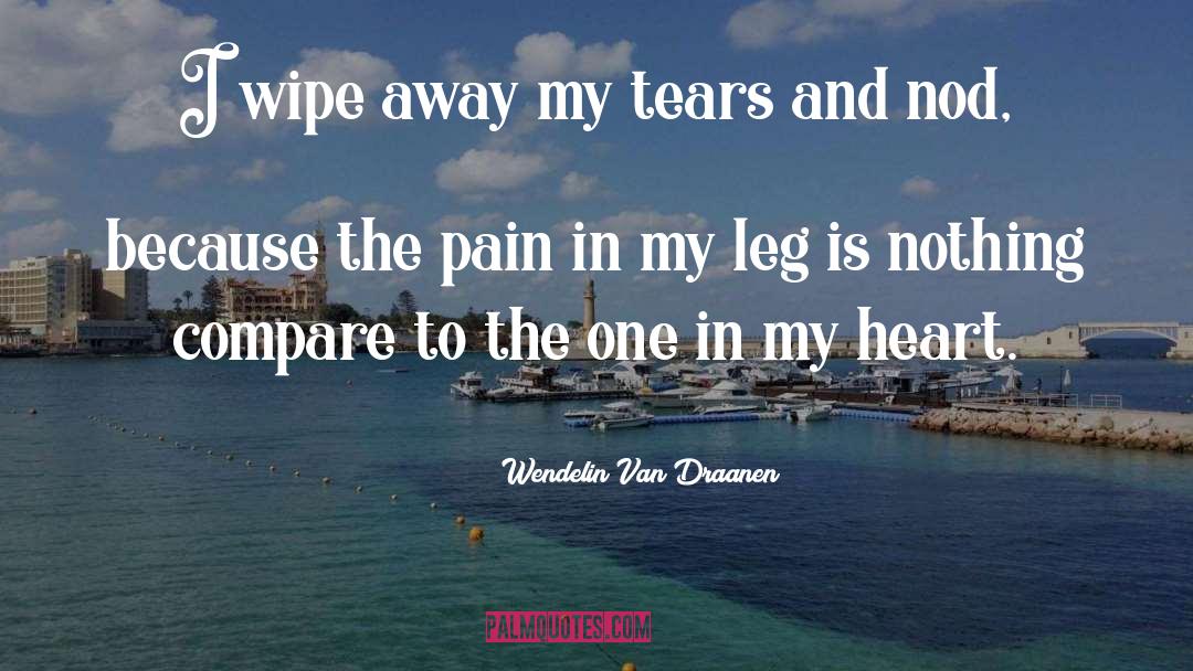 Heart Pain quotes by Wendelin Van Draanen