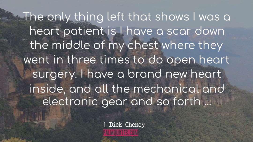 Heart Surgery quotes by Dick Cheney