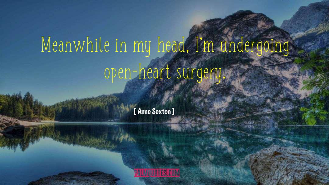 Heart Surgery quotes by Anne Sexton