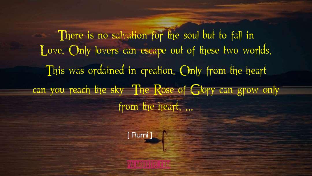 Heart To Heart Connection quotes by Rumi