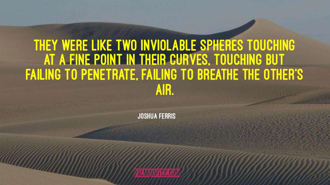 Heart Touching Small quotes by Joshua Ferris