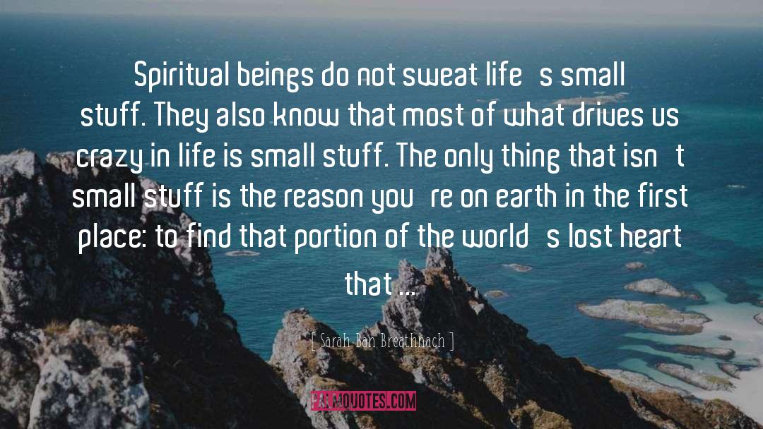 Heart Touching Small quotes by Sarah Ban Breathnach