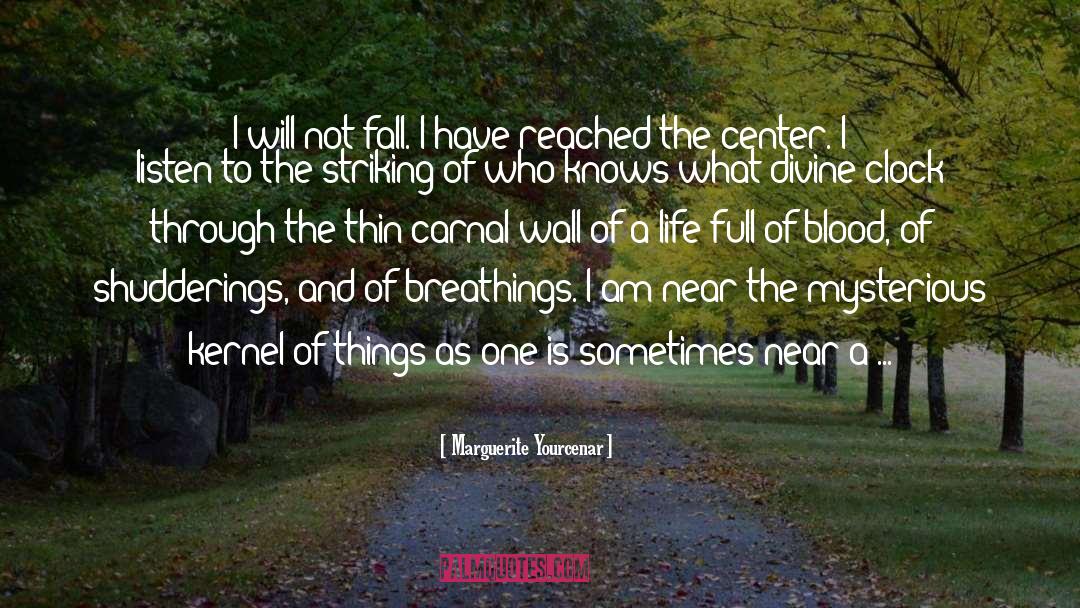 Heart Transplant quotes by Marguerite Yourcenar