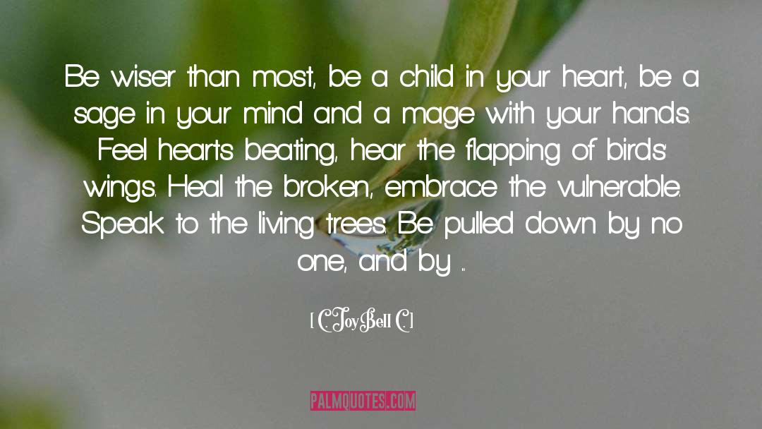 Heart Transplant quotes by C. JoyBell C.