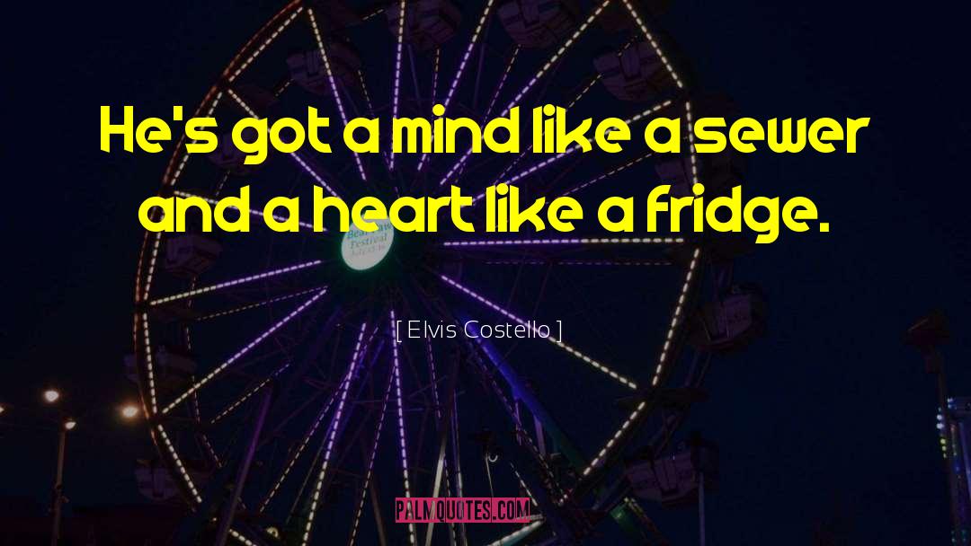 Heart Waves quotes by Elvis Costello