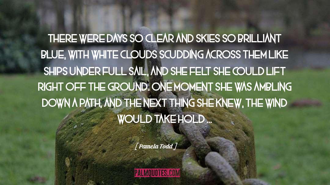 Heartaches quotes by Pamela Todd