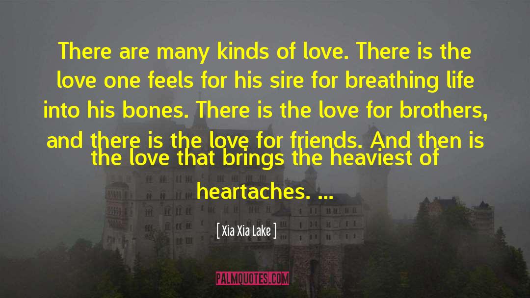 Heartaches quotes by Xia Xia Lake