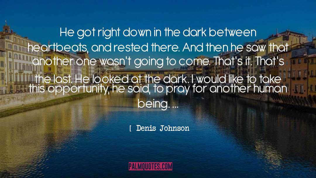 Heartbeat quotes by Denis Johnson