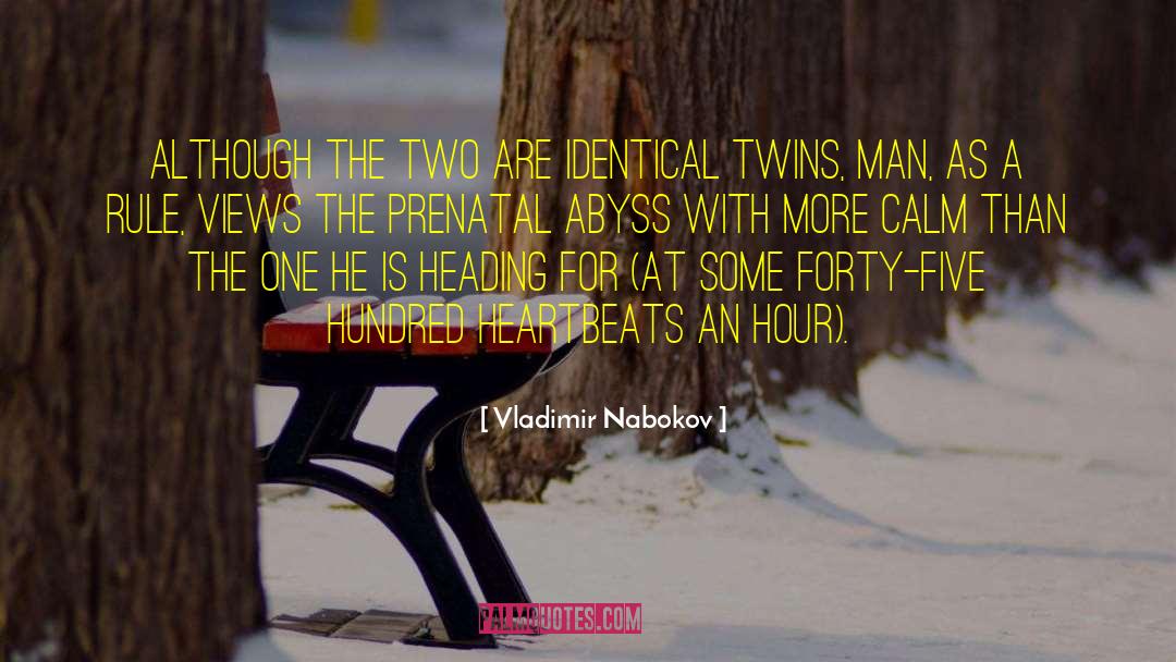 Heartbeats quotes by Vladimir Nabokov