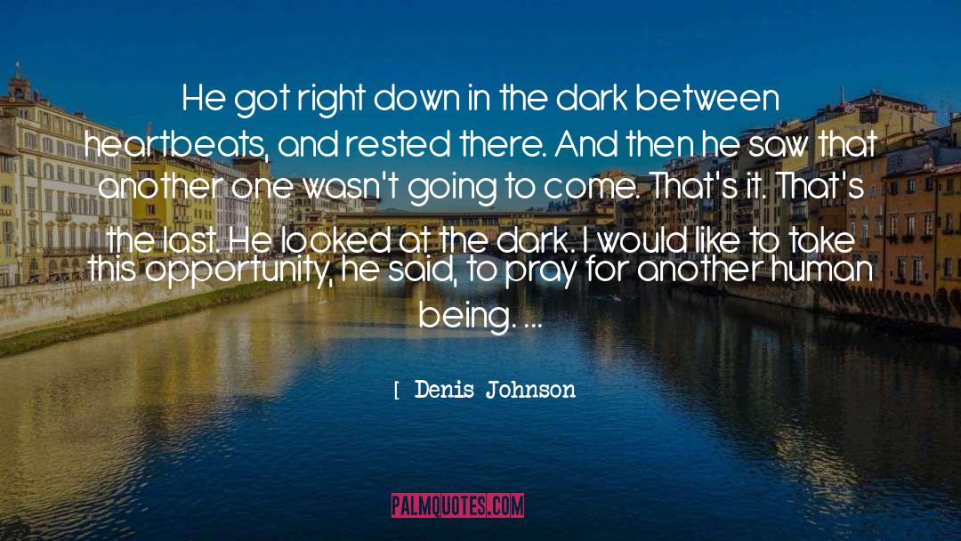 Heartbeats quotes by Denis Johnson