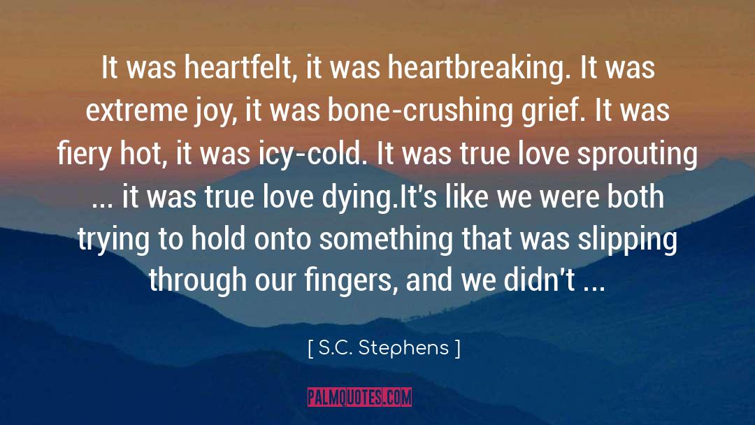 Heartbreaking quotes by S.C. Stephens