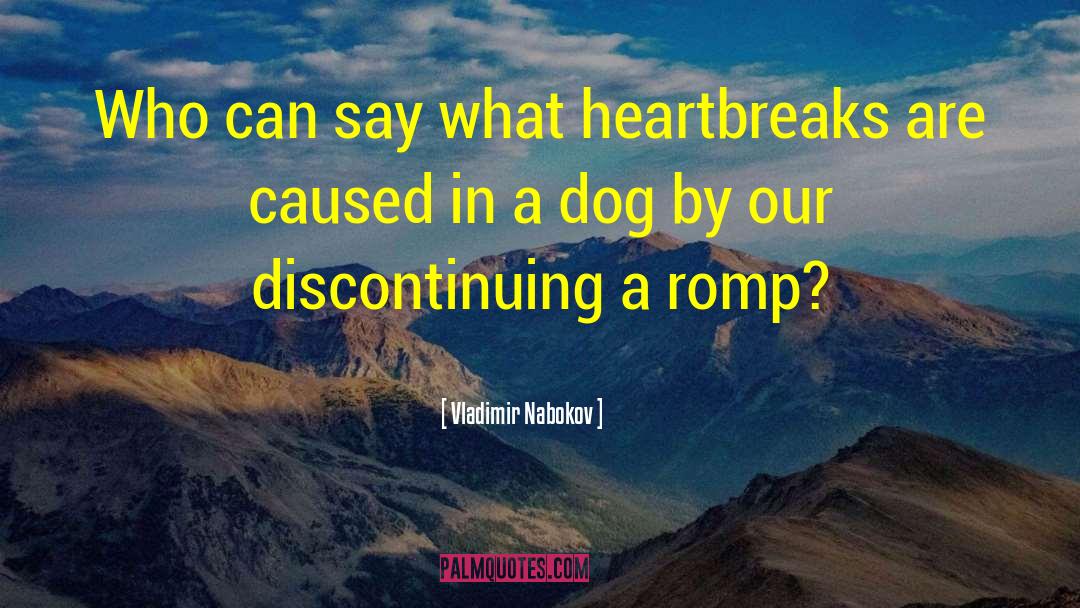 Heartbreaks quotes by Vladimir Nabokov