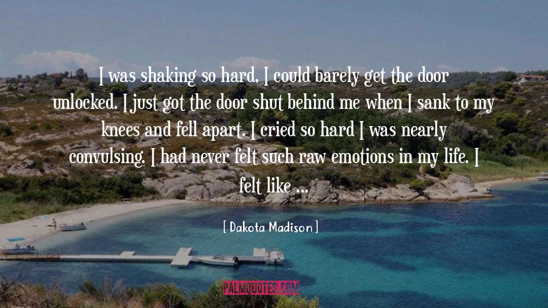 Heartbroken quotes by Dakota Madison