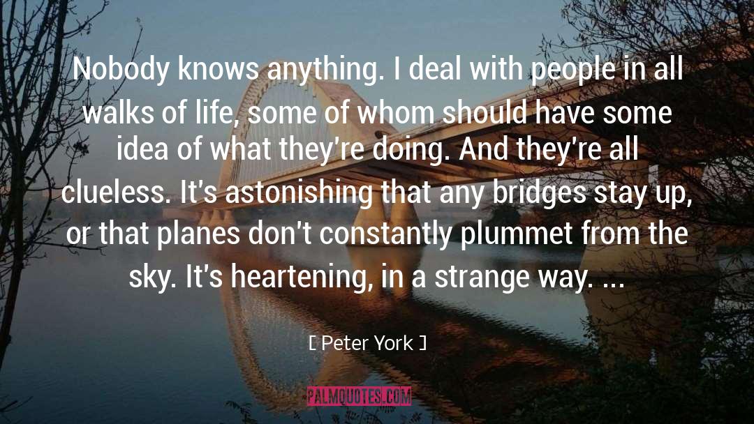 Heartening quotes by Peter York