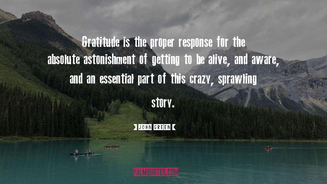 Heartfelt Gratitude quotes by John Green