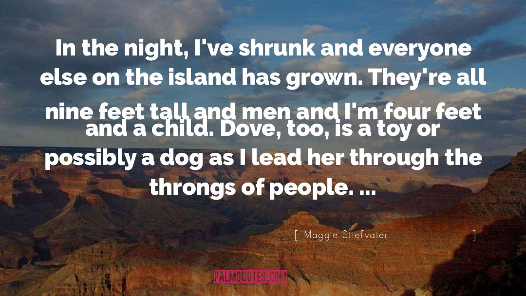 Hearth Island quotes by Maggie Stiefvater