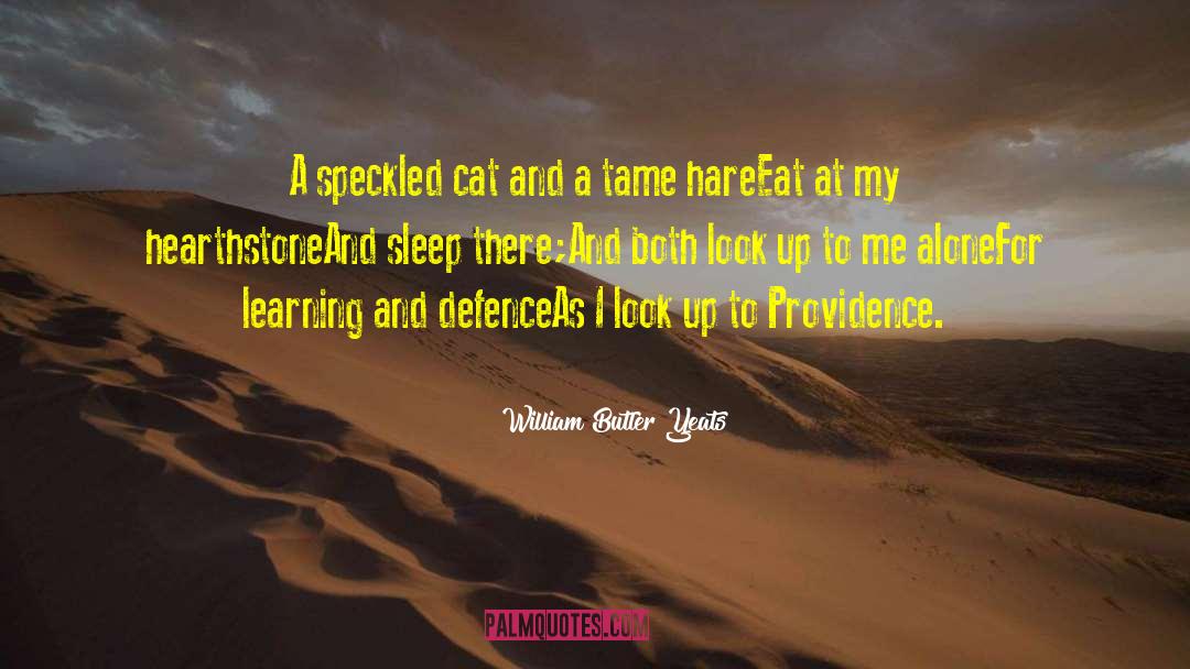 Hearthstone Stoves quotes by William Butler Yeats