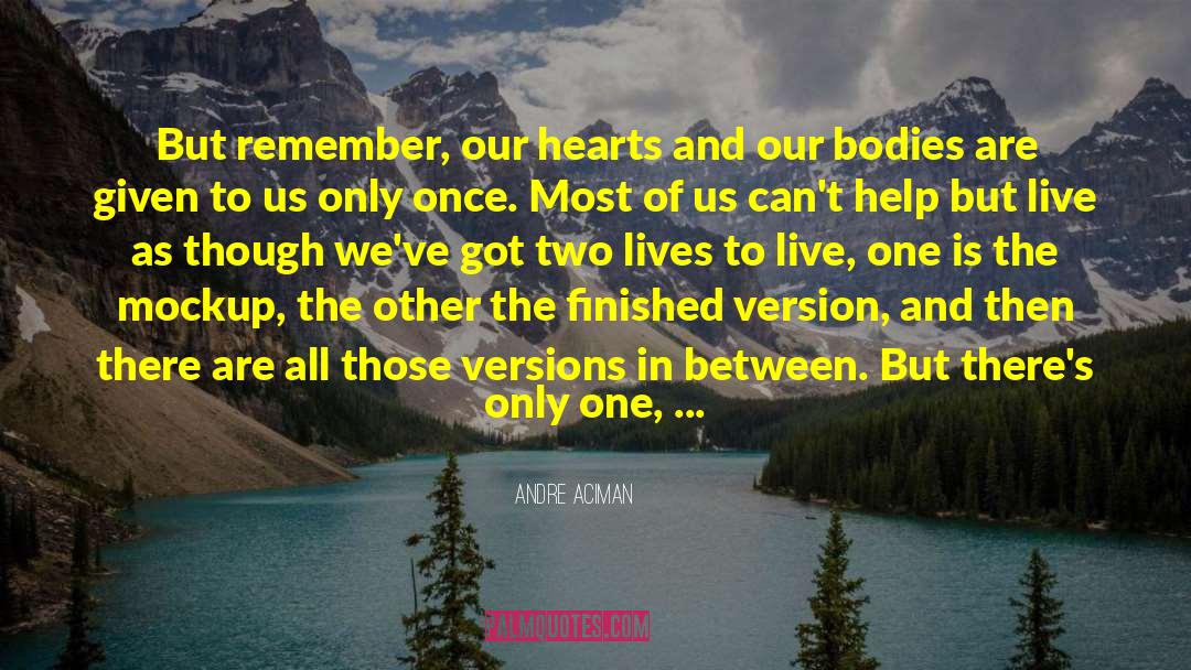 Hearts At Stake quotes by Andre Aciman