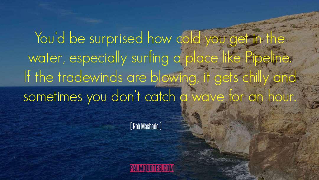 Heat And Cold quotes by Rob Machado