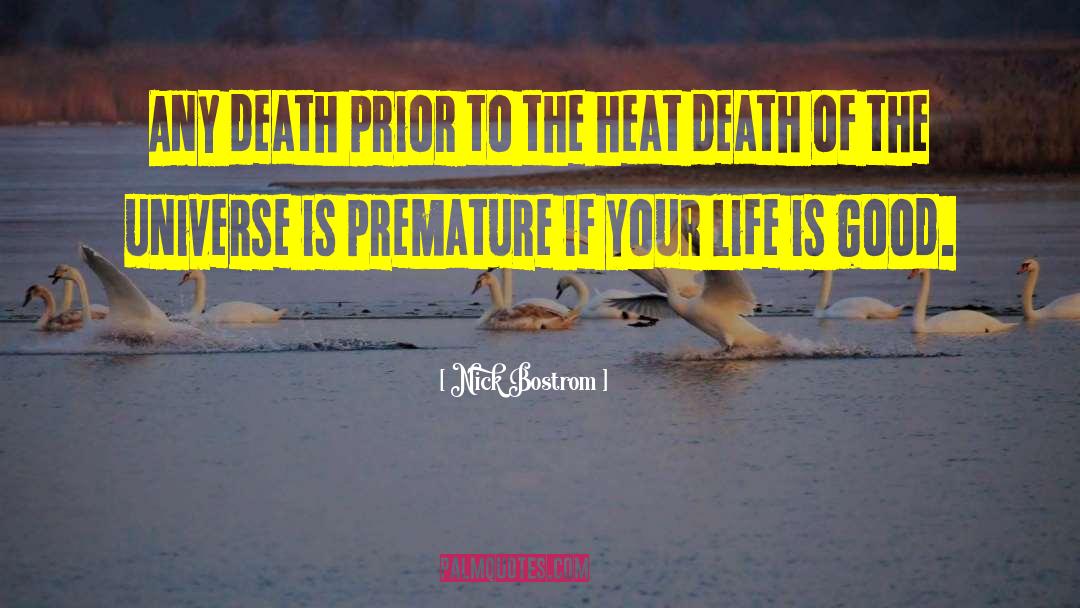 Heat Death quotes by Nick Bostrom