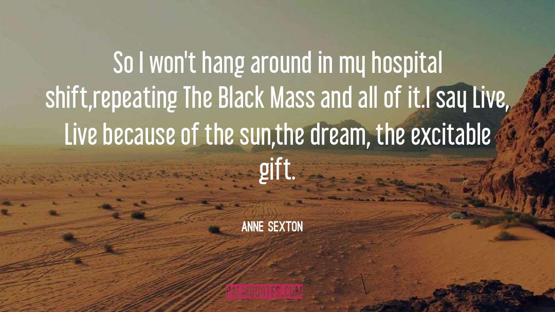 Heat Of The Sun quotes by Anne Sexton