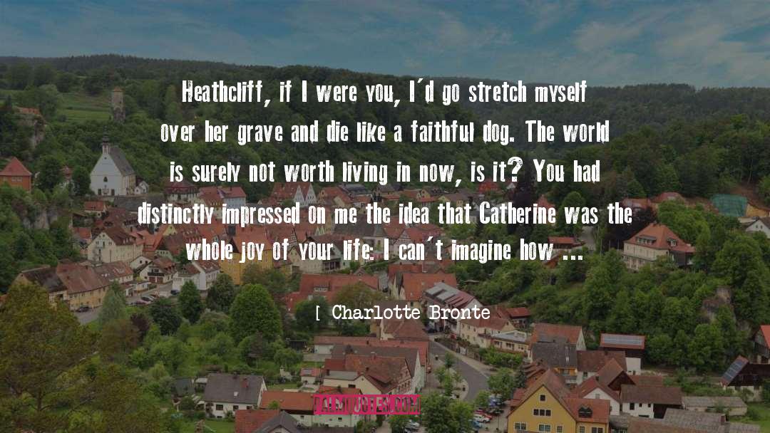 Heathcliff Catherine Love quotes by Charlotte Bronte