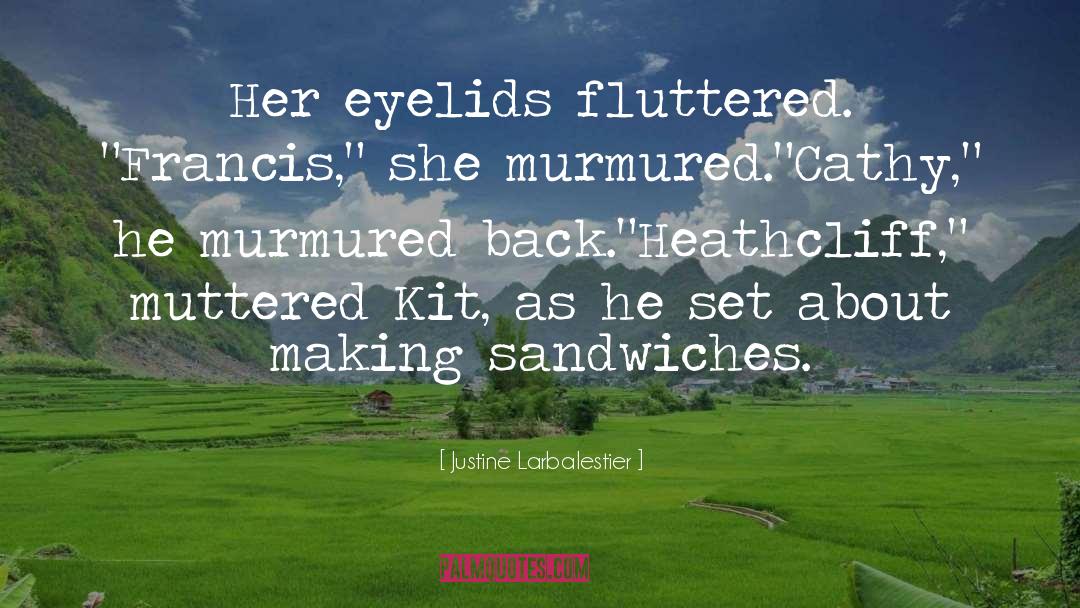 Heathcliff quotes by Justine Larbalestier