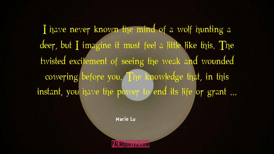 Heather Wolf quotes by Marie Lu