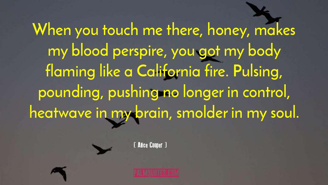 Heatwave quotes by Alice Cooper