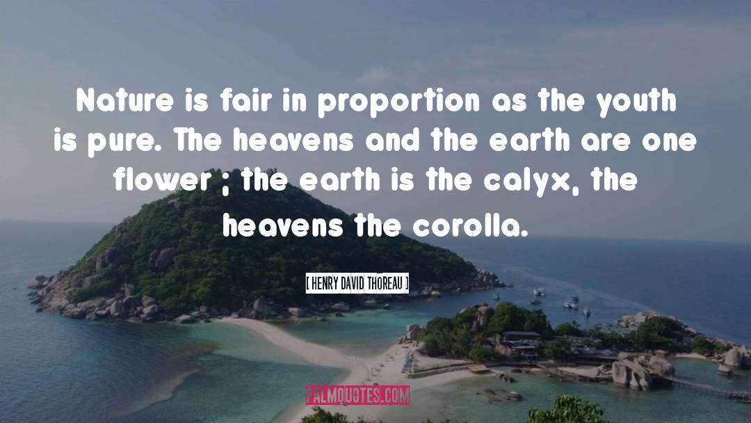 Heaven Earth quotes by Henry David Thoreau
