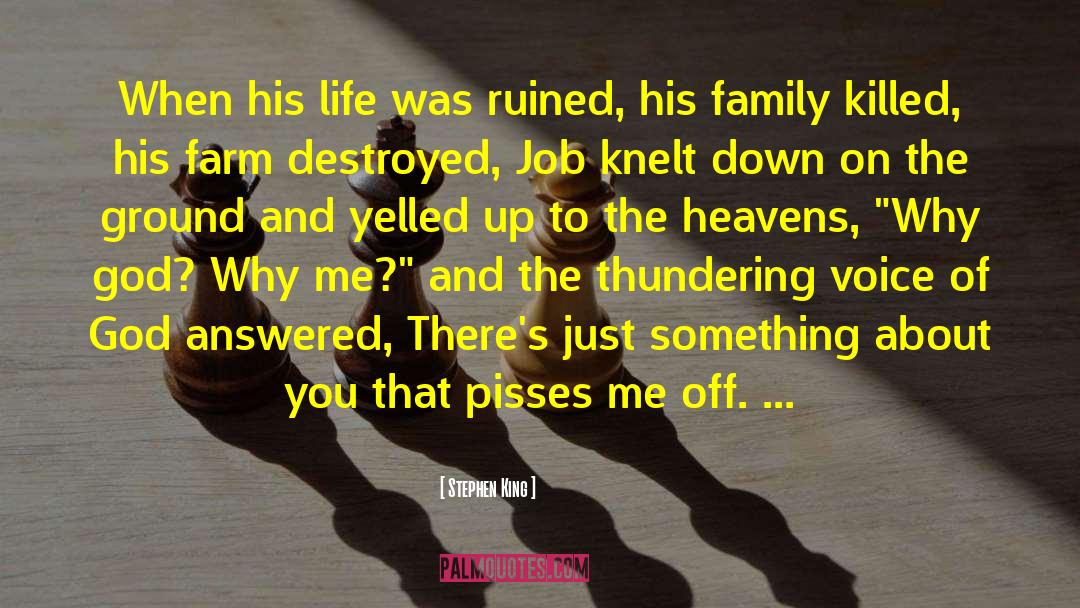 Heaven Family Reunions quotes by Stephen King