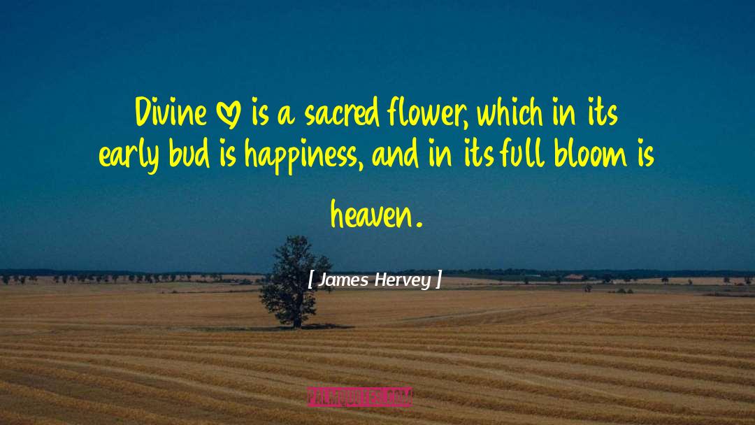 Heaven Religious quotes by James Hervey
