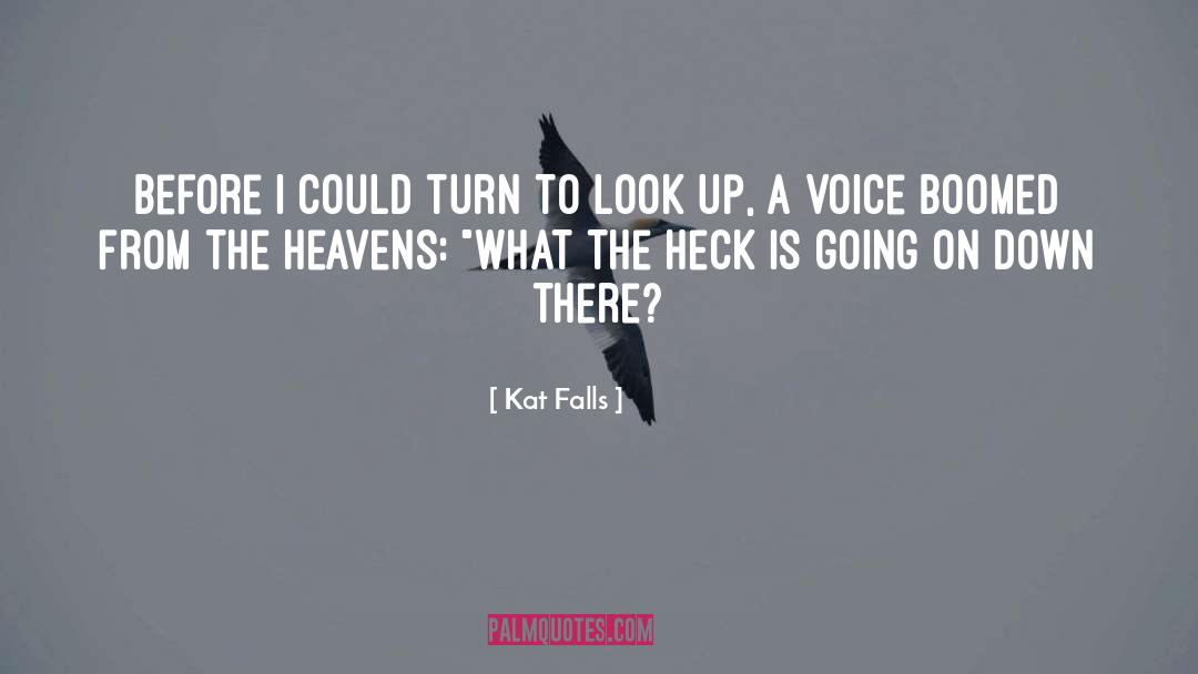 Heavens quotes by Kat Falls