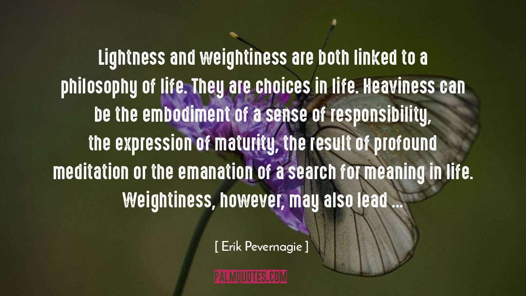 Heaviness quotes by Erik Pevernagie