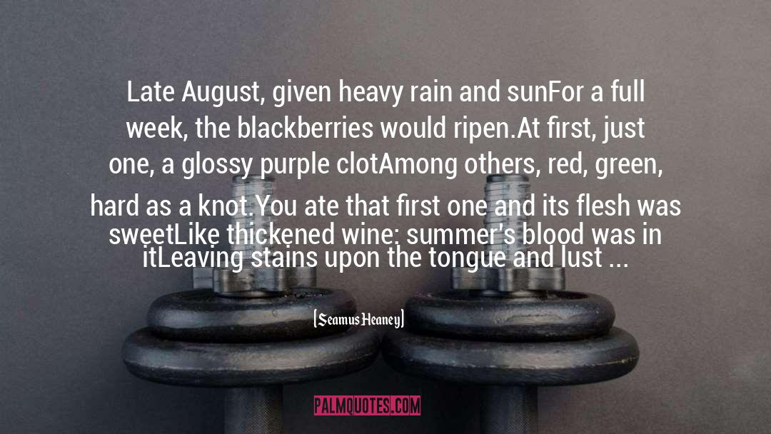 Heavy Rain quotes by Seamus Heaney