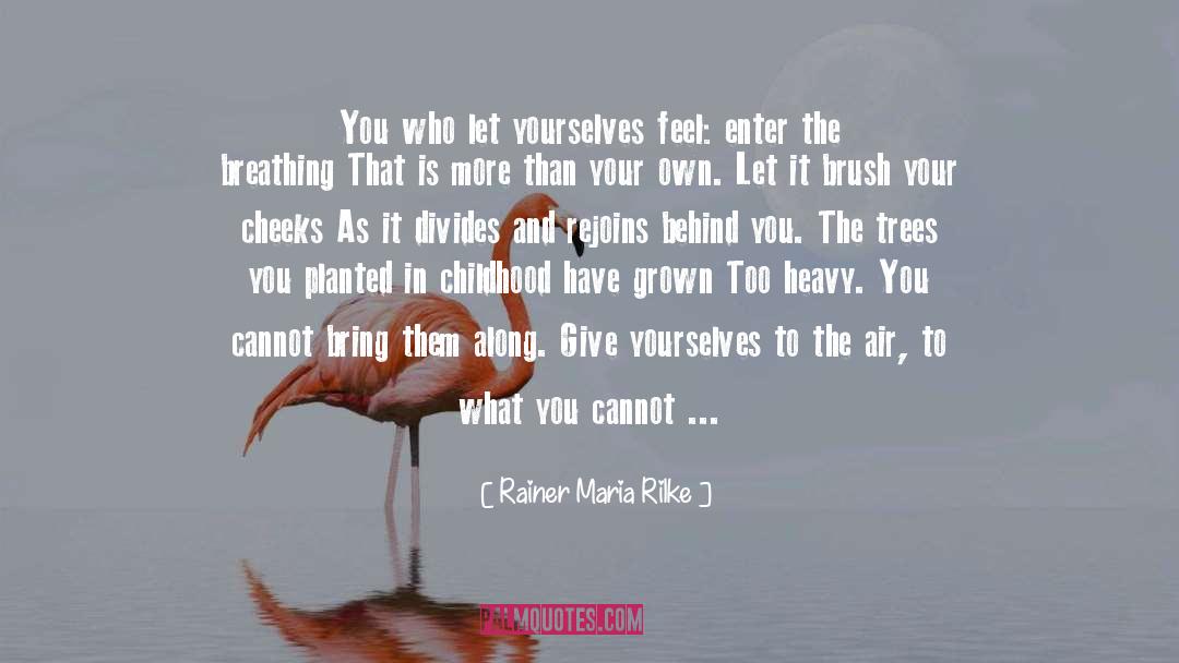 Heavy Rain quotes by Rainer Maria Rilke