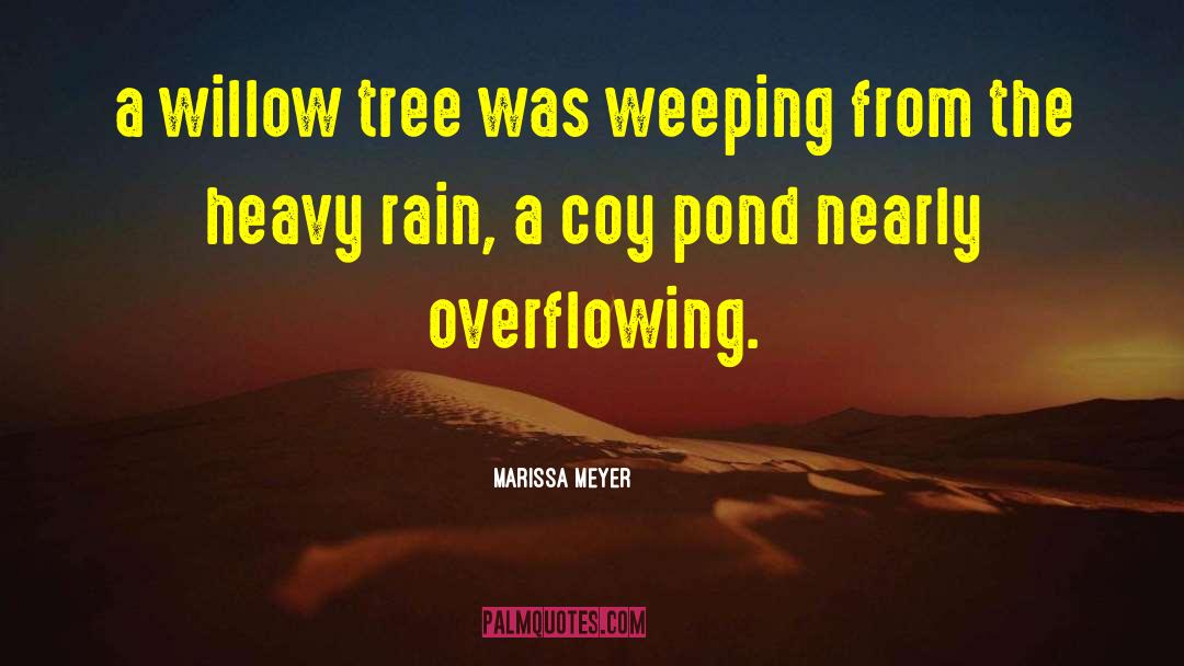 Heavy Rain quotes by Marissa Meyer