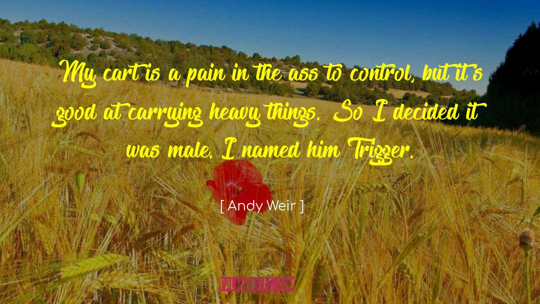 Heavy Things quotes by Andy Weir