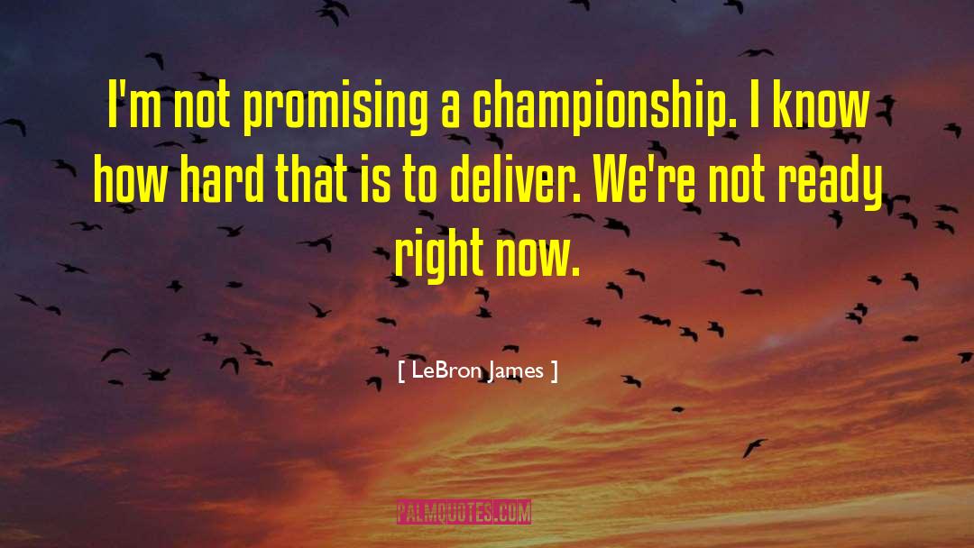 Heavyweight Championship quotes by LeBron James