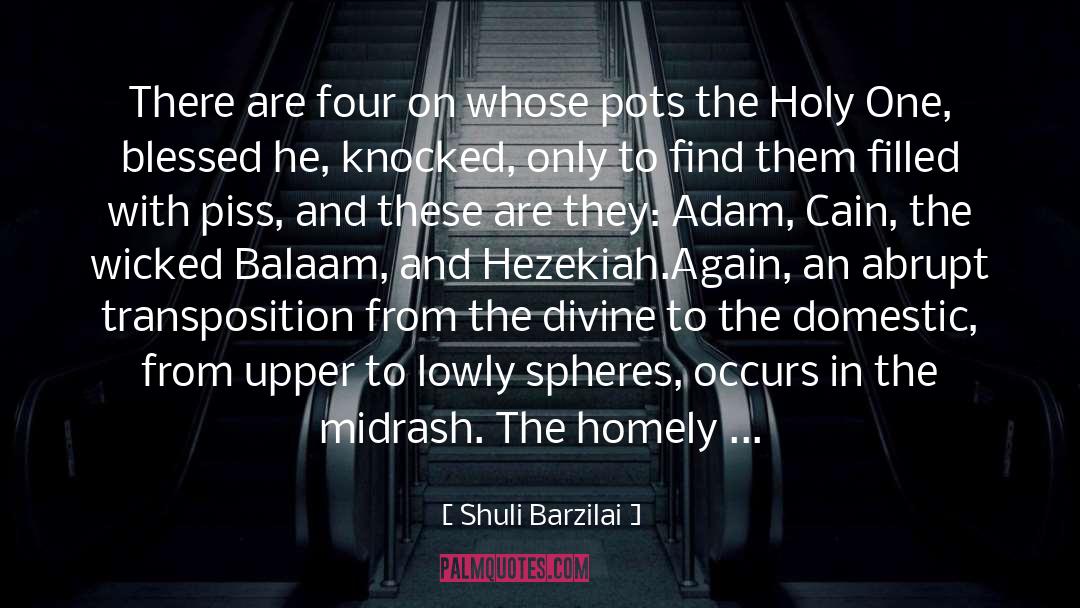 Hebrew Commentary quotes by Shuli Barzilai