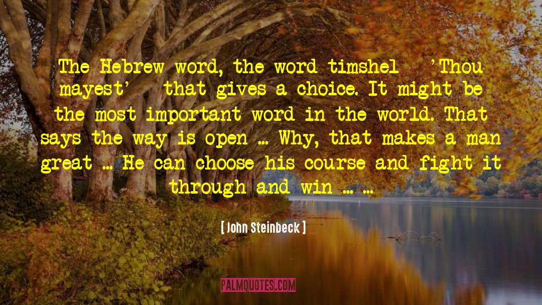 Hebrew Commentary quotes by John Steinbeck