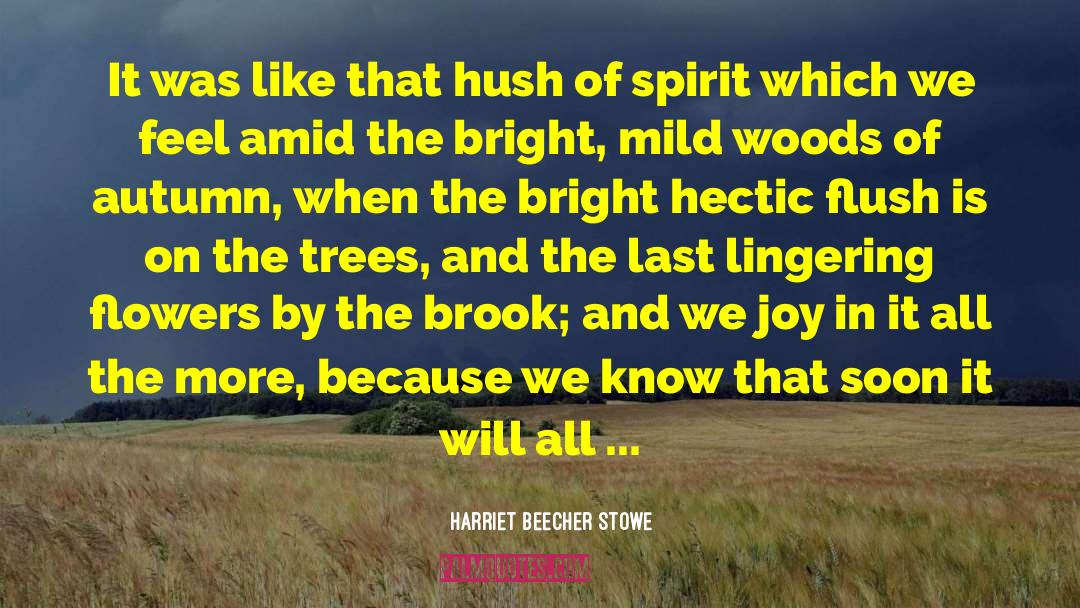 Hectic quotes by Harriet Beecher Stowe