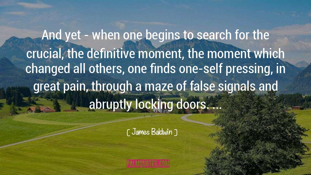 Hedge Maze quotes by James Baldwin