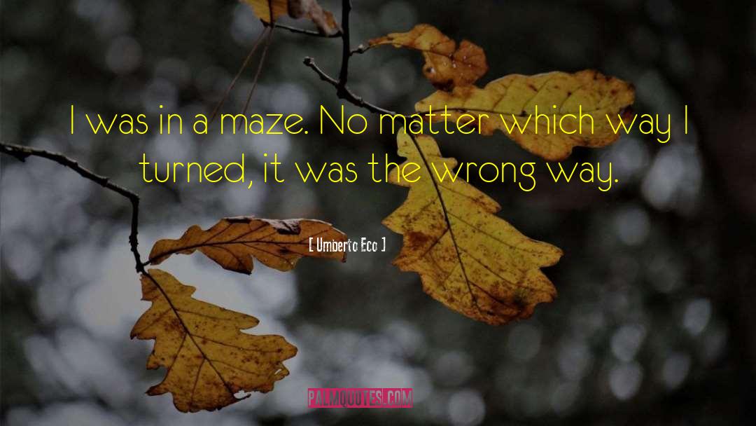 Hedge Maze quotes by Umberto Eco